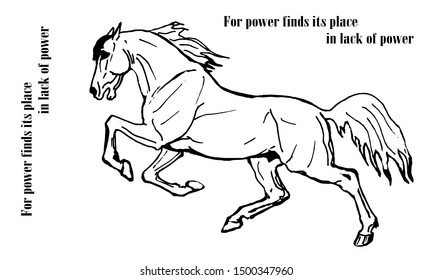 vector isolated monochrome picture on a white background, a white stallion galloping 