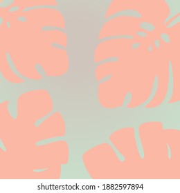 vector isolated monstera leaves on a colored background. trendy style, minimalism.decoration for textiles, postcards, stickers, stickers.indoor plant