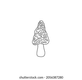 Vector isolated morel mushroom line doodle drawing. Colorless simple minimal drawn wrinkled wrinkly mushroom. 