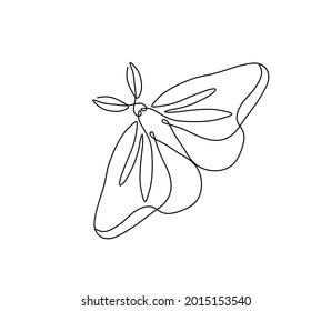 Vector isolated moth line drawing. One line night moss graphic sketch. Moth tattoo, pattern, graphic art.