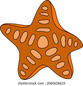 Vector isolated ocean exotic orange starfish illustration. Sea life design element. Ocean animal