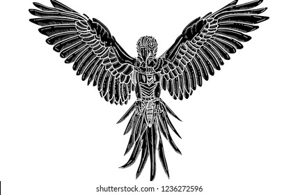 vector - aislado en el fondo - Loro