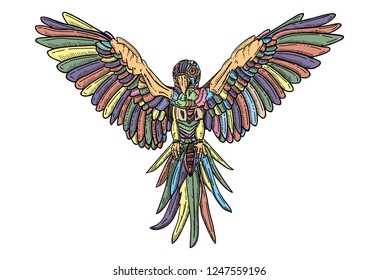 vector - isolated on background -Parrot