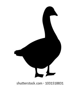vector, isolated on a white background silhouette goose, duck