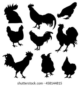 vector, isolated on white background silhouette of a rooster, icon, set