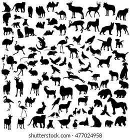 vector, isolated on white background set of a large set of animal silhouettes