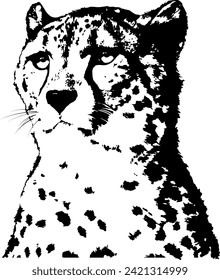 Vector, isolated on white black portrite of cheetah. Monochrome picture with animal predator. Design for card, poster, illustration, print about nature.