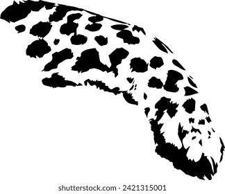 Vector, aislado sobre una pata de chita blanca con manchas negras. Elemento para el diseño animalista de tarjeta, afiche, ilustración.