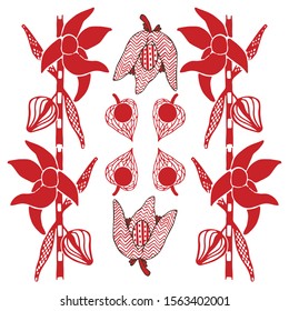 Vector isolated on white ukrainian, romanian, russian, embroidery ornament of red physalis.