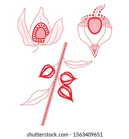 Vector isolated on white ukrainian, romanian, russian, embroidery ornament / painting / mural of red physalis. 