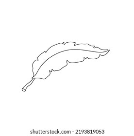 Vector aislado un pájaro pluma de contorno incoloro negro y blanco línea de dibujo fácil