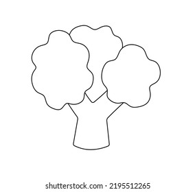 Vector Isolated One Broccoli Or Cauliflower Inflorescence Colorless Black And White Contour Line Drawing