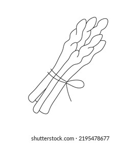 Vector Isolated One Bunch Of Asparagus Colorless Black And White Contour Line Drawing