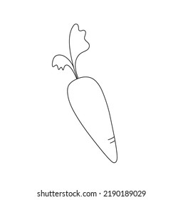Vector isolated one carrot with tops colorless black and white contour line easy drawing