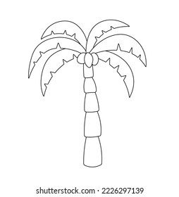 Vector isolated one coconut palm tree with coconuts  colorless black and white contour line easy drawing