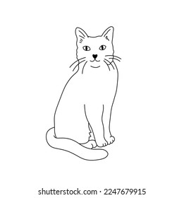 Vector isolated one cute cartoon sitting cat with whiskers colorless black and white contour line easy drawing