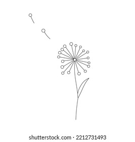 Vector isolated one doodle dandelion flower with flying seeds colorless black and white contour line easy drawing