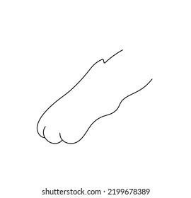 Vector isolated one elegant cat paw colorless black and white contour line easy drawing