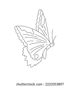 Vector isolated one flying butterfly with ornate wings side view colorless black and white contour line easy drawing