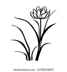 Vector aisló una línea hermoso dibujo de flores de magnolia. Esbozo incoloro de la flor de una sola línea negra.
