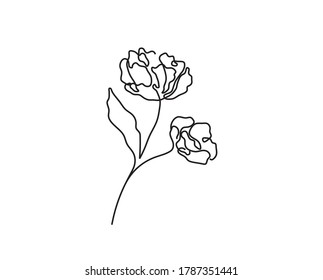 Vector Isolated One Line Drawing Flower Peony. Single Line Simple Outline Line Sketch Flower Blossom.