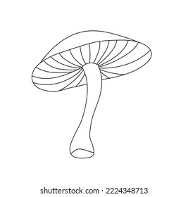 Vector isolated one poison mushroom toadstool colorless black and white contour line easy drawing