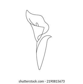 Vector Isolated One Pretty Calla Lily Flower With Leaf Colorless Black And White Contour Line Easy Drawing