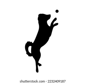 Vector isolated one puppy dog jumps for a ball colorless black and white outline silhouette shadow shape