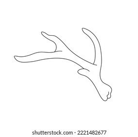 Vector isolated one simple deer or elk horn colorless black and white contour line easy drawing