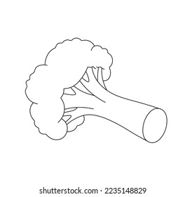 Vector isolated one simple minimal cauliflower broccoli inflorescence  colorless black and white contour line easy drawing