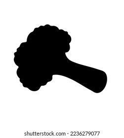 Vector isolated one simple minimal cauliflower or broccoli inflorescence colorless black and white contour silhouette shadow shape stencil