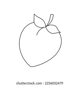 Vector isolated one simple minimal peach plum apricot fruit with two leaves colorless black and white contour line easy drawing