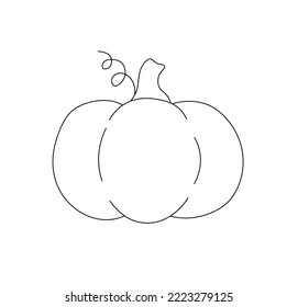 Vector isolated one simple pumpkin vegetable colorless black and white contour line easy drawing