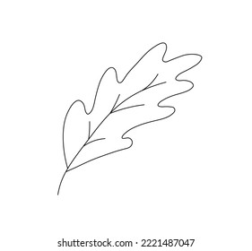 Vector isolated one simplest oak leaf vith veins colorless black and white contour line easy drawing