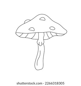 Vector isolated one single amanita muscaria fly agaric mushroom colorless black and white contour line easy drawing