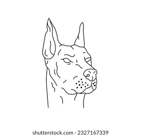 Vector isolated one single angry doberman dog head colorless black and white contour line easy drawing