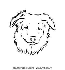 Vector isolated one single Australian Shepherd dog head black and white bw two colors silhouette. Template for laser engraving or stencil