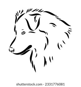 Vector isolated one single Australian Shepherd dog head black and white bw two colors silhouette. Template for laser engraving or stencil