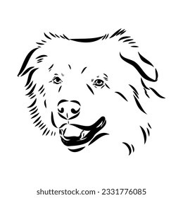 Vector isolated one single Australian Shepherd dog head black and white bw two colors silhouette. Template for laser engraving or stencil