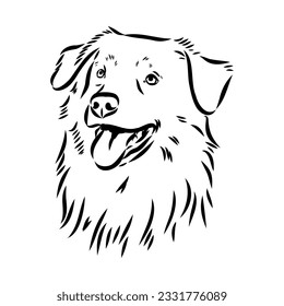Vector isolated one single Australian Shepherd dog head black and white bw two colors silhouette. Template for laser engraving or stencil
