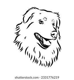 Vector isolated one single Australian Shepherd dog head black and white bw two colors silhouette. Template for laser engraving or stencil