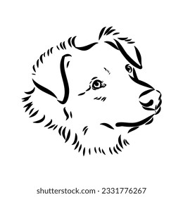 Vector isolated one single Australian Shepherd dog head black and white bw two colors silhouette. Template for laser engraving or stencil