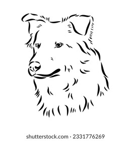 Vector isolated one single Australian Shepherd dog head black and white bw two colors silhouette. Template for laser engraving or stencil