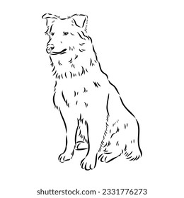 Vector isolated one single Australian Shepherd dog head black and white bw two colors silhouette. Template for laser engraving or stencil