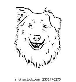 Vector isolated one single Australian Shepherd dog head black and white bw two colors silhouette. Template for laser engraving or stencil