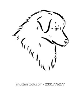 Vector isolated one single Australian Shepherd dog head black and white bw two colors silhouette. Template for laser engraving or stencil