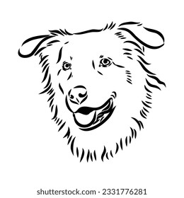 Vector isolated one single Australian Shepherd dog head black and white bw two colors silhouette. Template for laser engraving or stencil