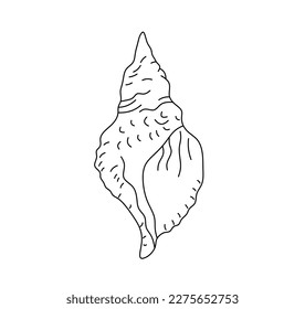 Vector isolated one single beautiful sea shell seashell sea bowl colorless black   white contour line easy drawing