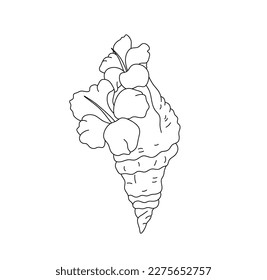 Vector isolated one single beautiful sea shell and flowers seashell sea bowl colorless black   white contour line easy drawing