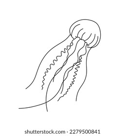Vector isolated one single beautiful jellyfish with long tentacles colorless black and white contour line easy drawing